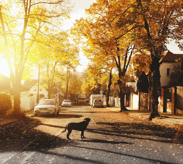 Modern home exterior on a sunny residential street